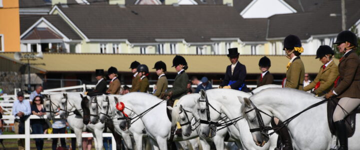 100 let Connemara Pony Show v Clifdenu