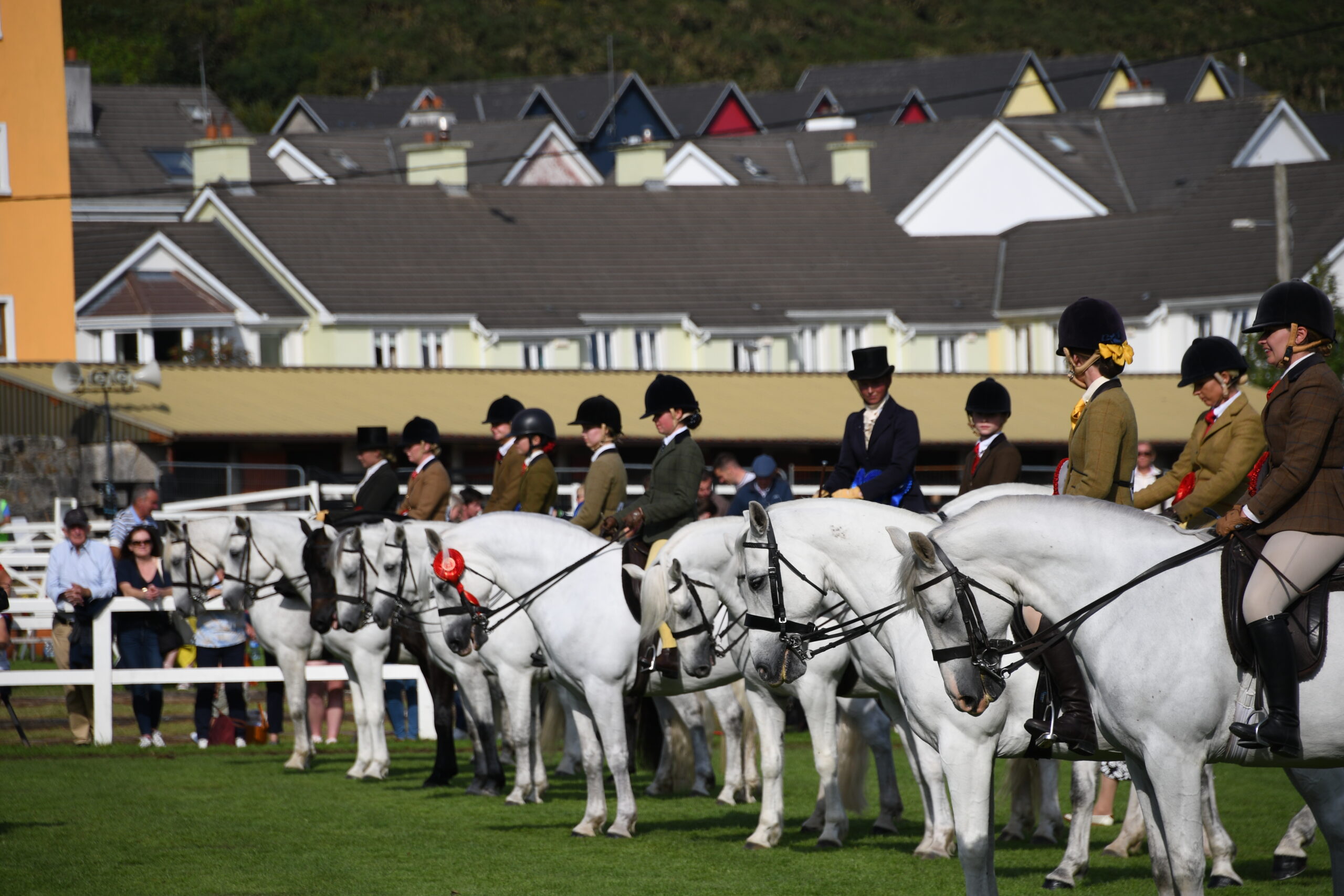 100 let Connemara Pony Show v Clifdenu
