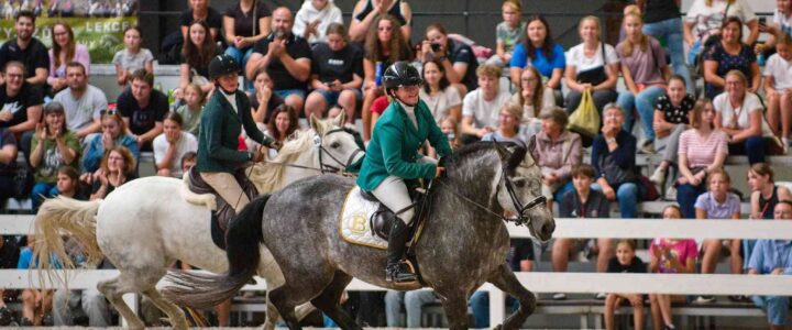 🐴 VÝSTAVA KŮŇ 2026 – výstaviště Lysá nad Labem