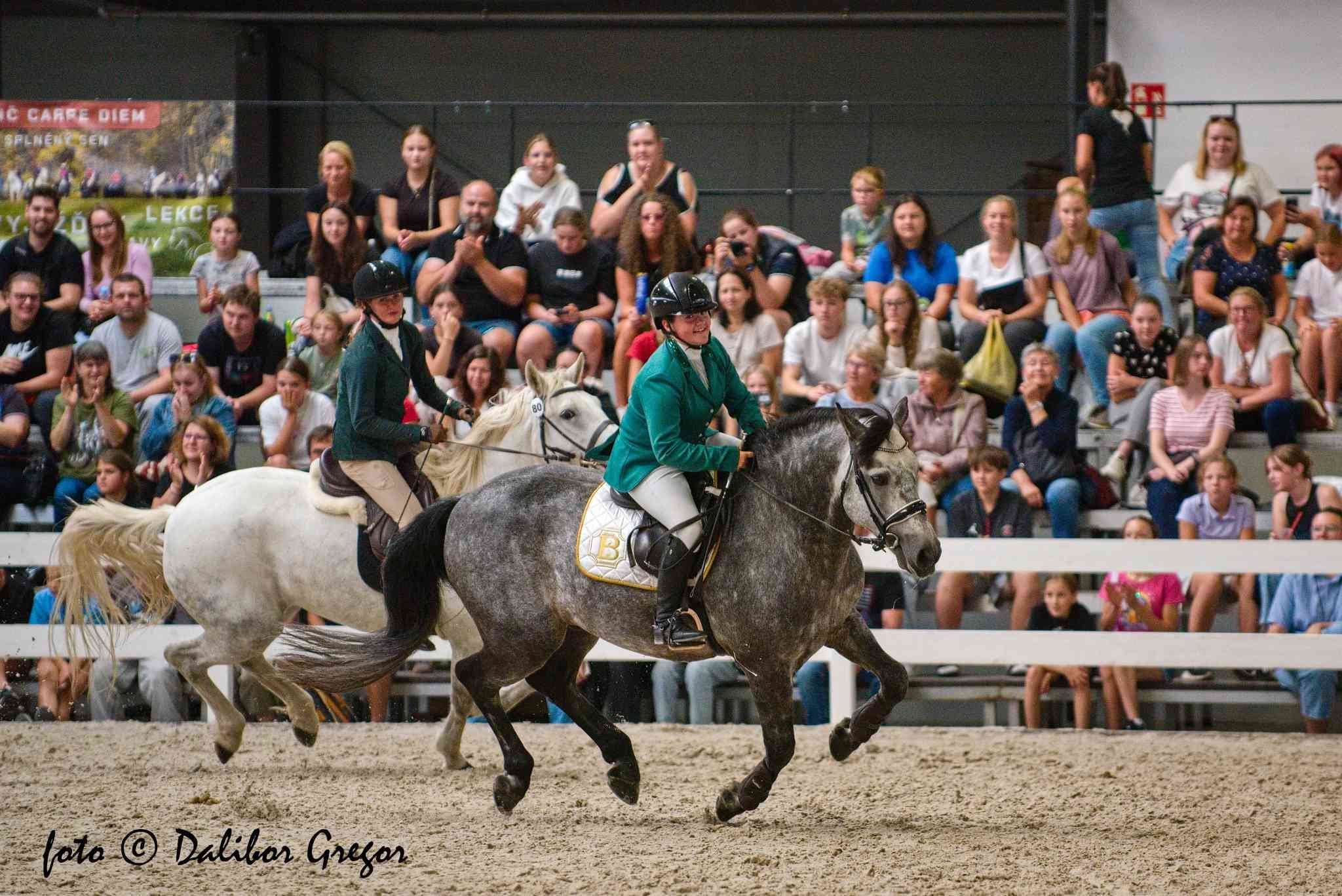 🐴 VÝSTAVA KŮŇ 2026 – výstaviště Lysá nad Labem