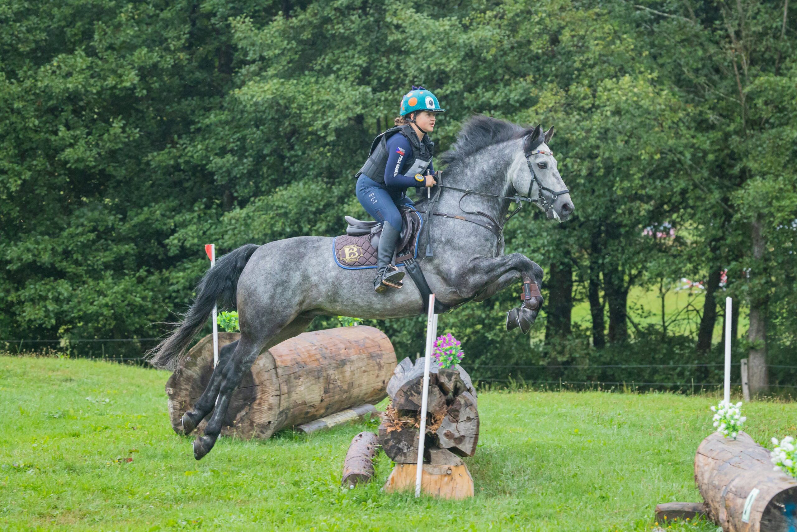 Connemara pony na Mistrovství České republiky ve všestrannosti